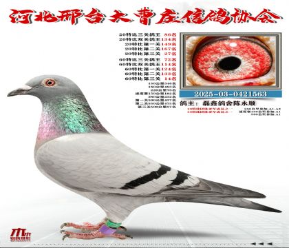 60�ر�����72��,20�ر�����86��