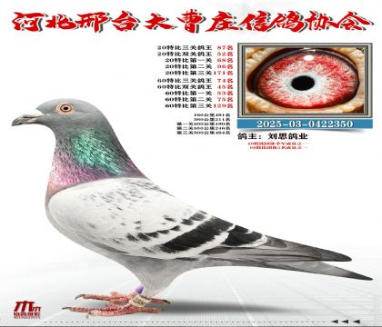 60�ر�����74��,20�ر�����87��