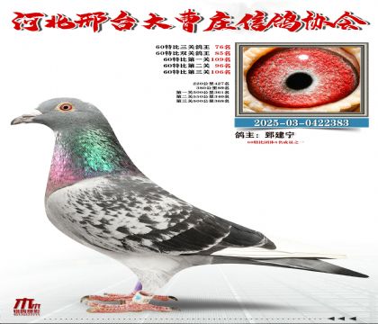 60�ر�����76��