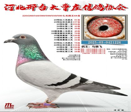 60�ر�����78��,20�ر�����91��