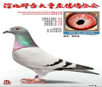 60�ر�����80��