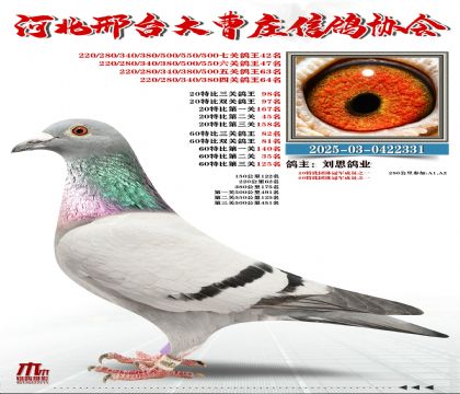 60�ر�����82��,20�ر�����98��