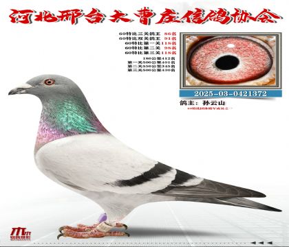 60�ر�����86��