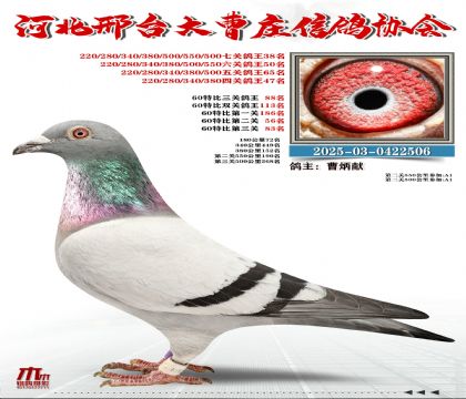 60�ر�����88��,���P(gu��n)����38��