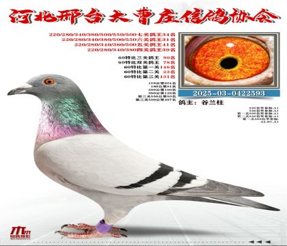 60�ر�����90��,���P(gu��n)����34��