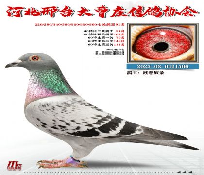 60�ر�����94��