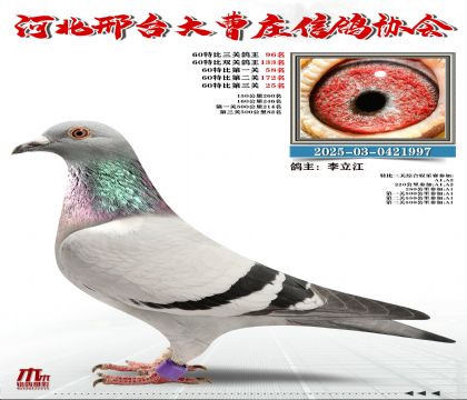 60�ر�����96��