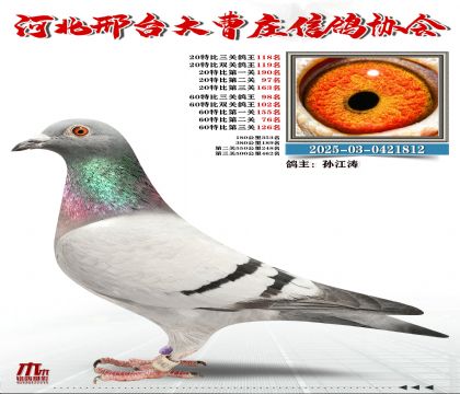 60�ر�����98��