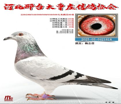 60�ر�����100��