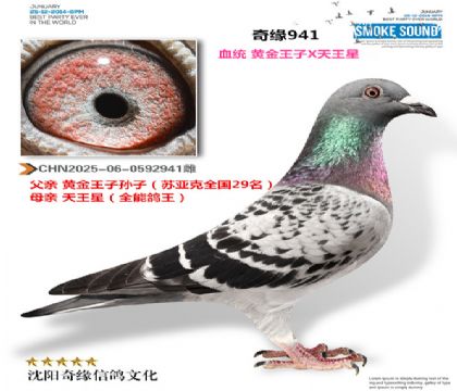 CHN2025-06-0592941��