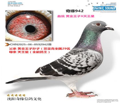 CHN2025-06-0592942��