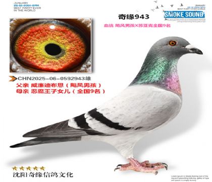 CHN2025-06-0592943��