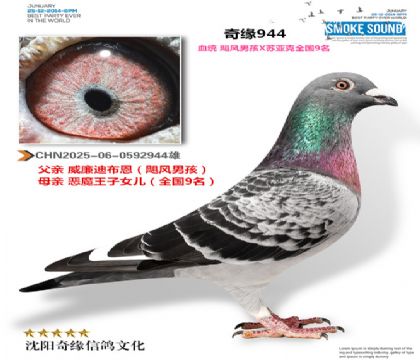 CHN2025-06-0592944��