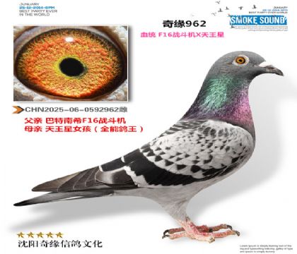 CHN2025-06-0592962��