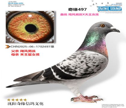 CHN2025-06-1702497��