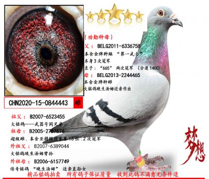 ɣ��ʿ��һ��ʿ���׷N��