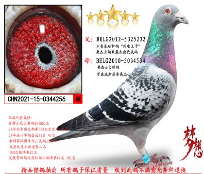 �W�ɣ��ʿ����(j��)�N��