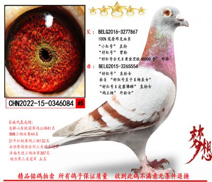 ���ǲ��ˡ�С�t̖(h��o)ֱ�OX�üt̖(h��o)ֱ�OŮ��