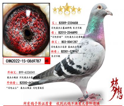 ���������ȣ��W�ɣ��ʿ����(j��)��ĸ