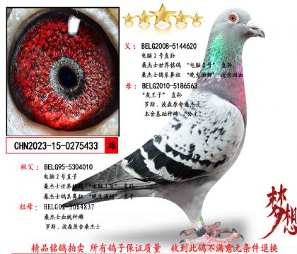 ɣ��ʿ피�(j��)�N��433