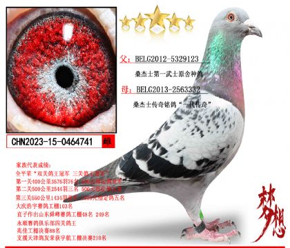 ɣ��ʿ��݅�ַN��741