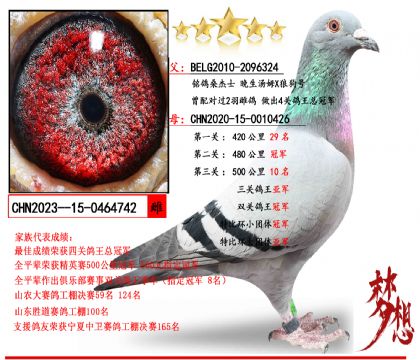 ������ķX�ǹ�̖(h��o)X�p�P(gu��n)��܊���P(gu��n)��܊