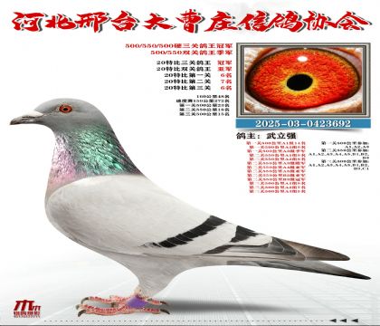 20�ر�������܊,Ӳ���P(gu��n)������܊