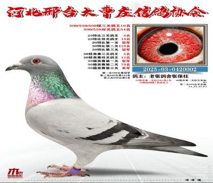 20�ر�����6��,30��Ӣ����5��