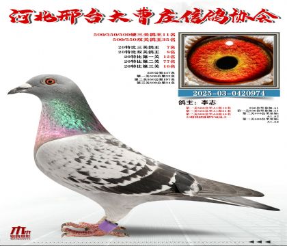 20�ر�����7��,Ӳ���P(gu��n)����11��