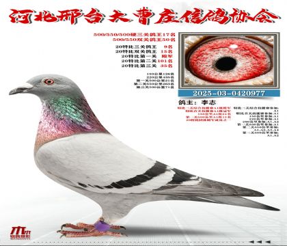 20�ر�����9��,Ӳ���P(gu��n)����17��