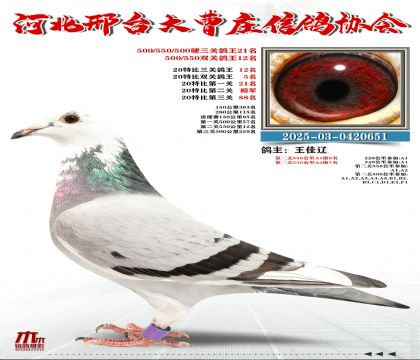 20�ر�����12��,Ӳ���P(gu��n)����21��