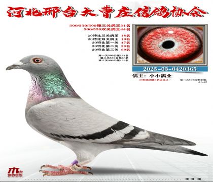 20�ر�����18��,Ӳ���P(gu��n)����31��