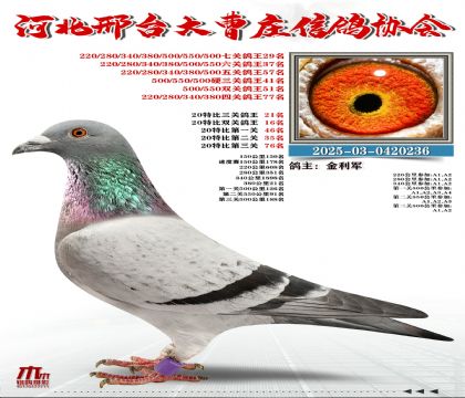 20�ر�����21��,���P(gu��n)����29��