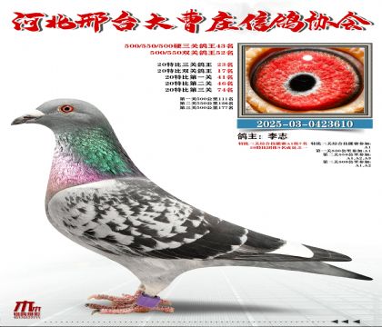 20�ر�����23,Ӳ���P(gu��n)����43��