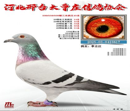 20�ر�����24��,Ӳ���P(gu��n)����45��