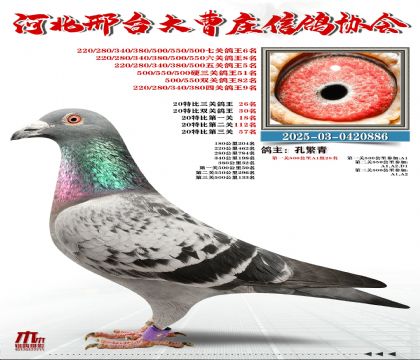 20�ر�����26��,���P(gu��n)����6��