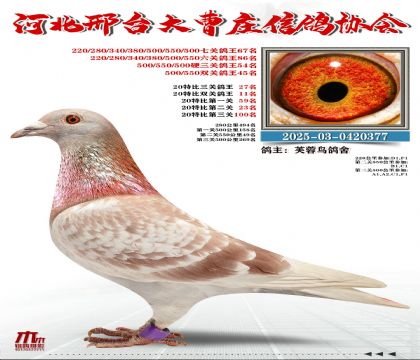 20�ر�����27��,Ӳ���P(gu��n)����54��