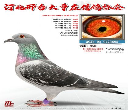 20�ر�����28��,Ӳ���P(gu��n)����55��