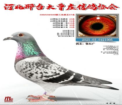 20�ر�����29��,Ӳ���P(gu��n)����57��