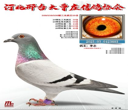 20�ر�����30��,Ӳ���P(gu��n)����59��