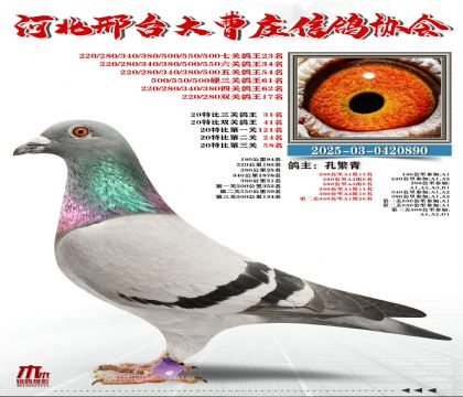 20�ر�����31��,���P(gu��n)����23��