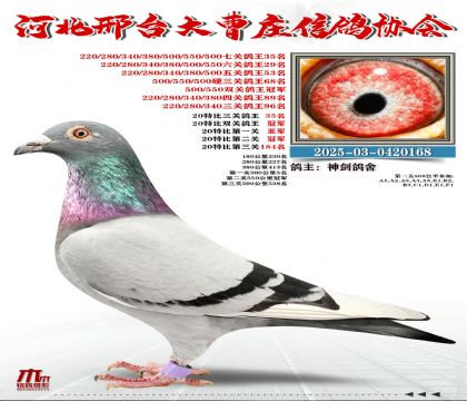 20�ر�����35��,���P(gu��n)����35��