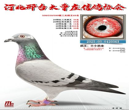 20�ر�����36��,Ӳ���P(gu��n)����69��