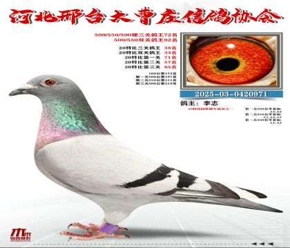 20�ر�����38��,Ӳ���P(gu��n)����72��