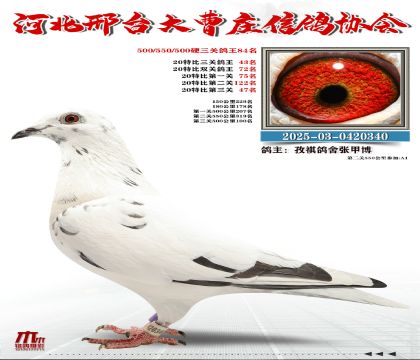 20�ر�����43��,Ӳ���P(gu��n)����84��