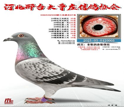 20�ر�����45��,30��Ӣ����23��