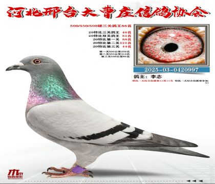 20�ر�����46��,Ӳ���P(gu��n)����88��