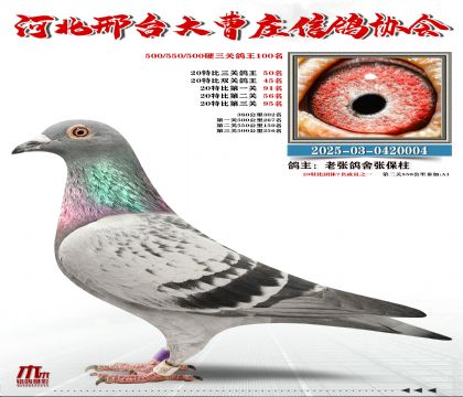 20�ر�����50��,Ӳ���P(gu��n)����100��