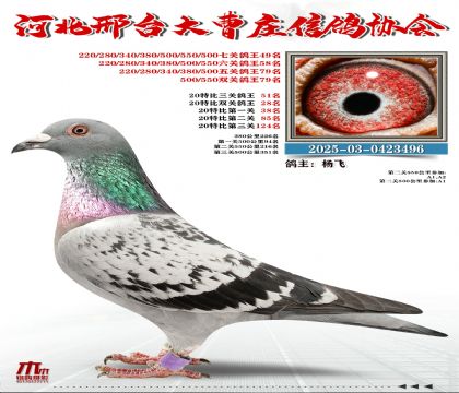 20�ر�����51��,���P(gu��n)����49��