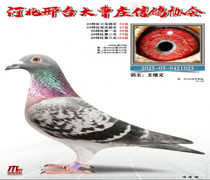 20�ر�����52��